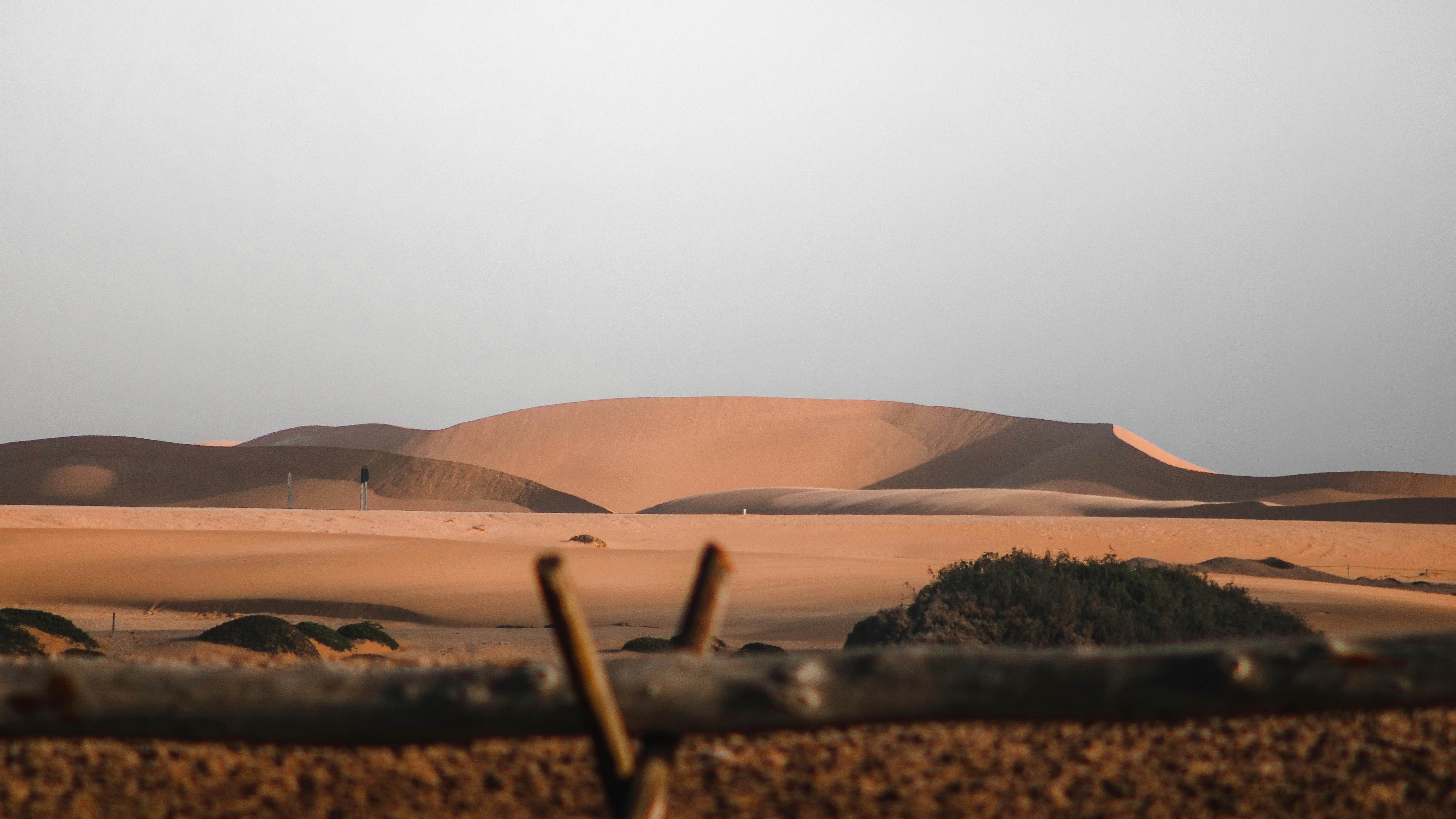 Afrika safari – savana při východu slunce
