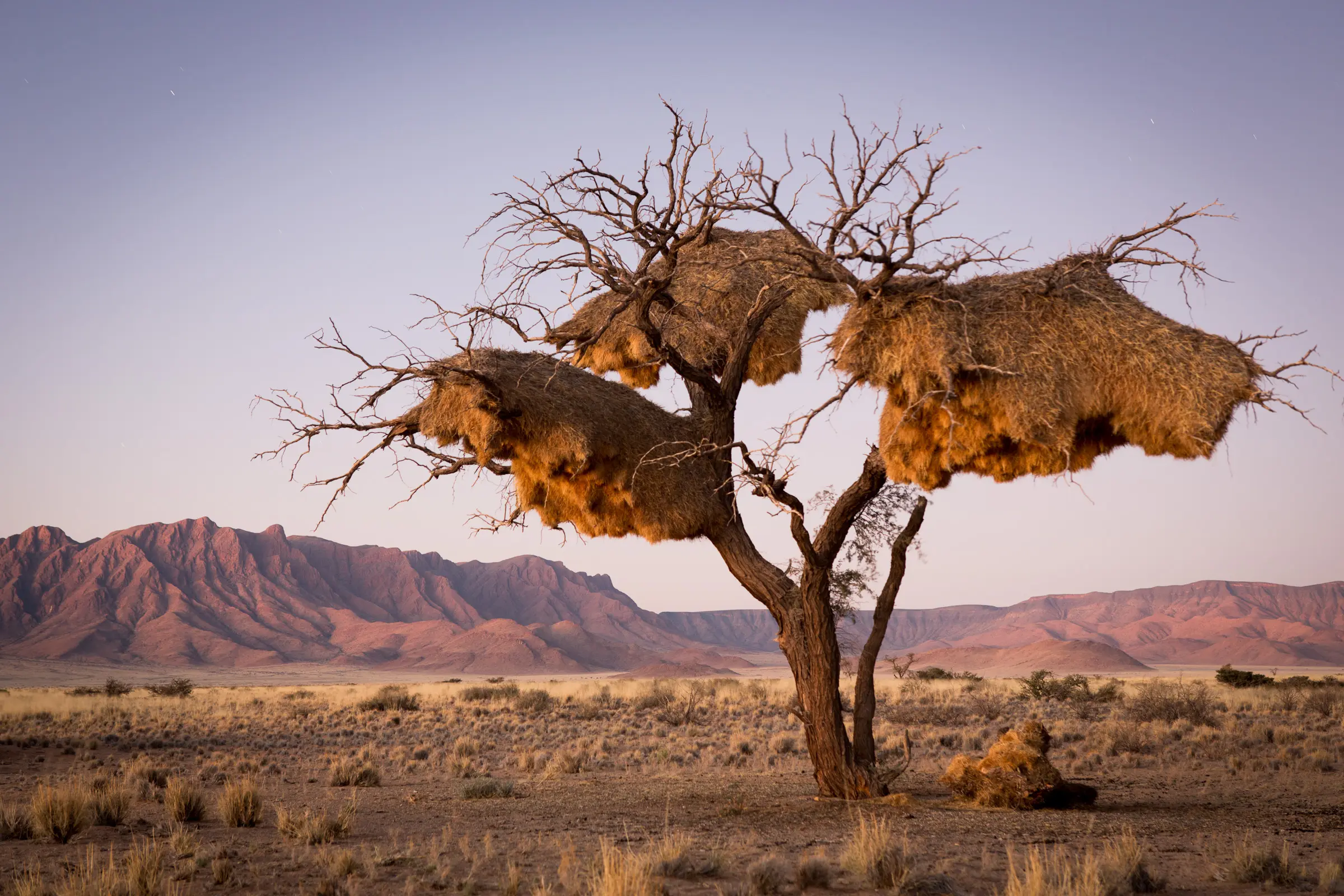 Namibie – duny Sossusvlei