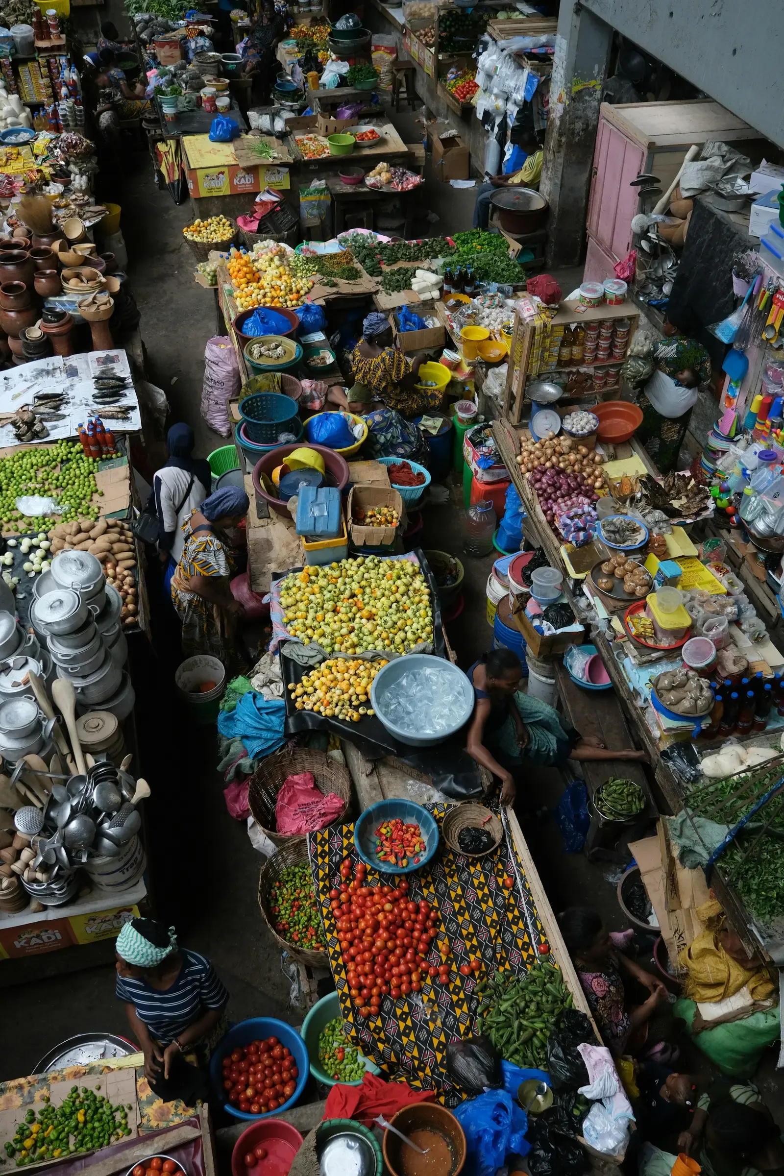 Pobřeží Slonoviny – tropická krajina Záp. Afriky