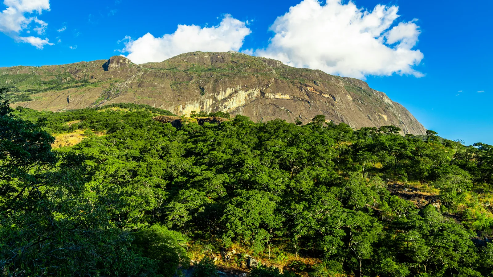 Malawi – na kole Mulanje 8 dní