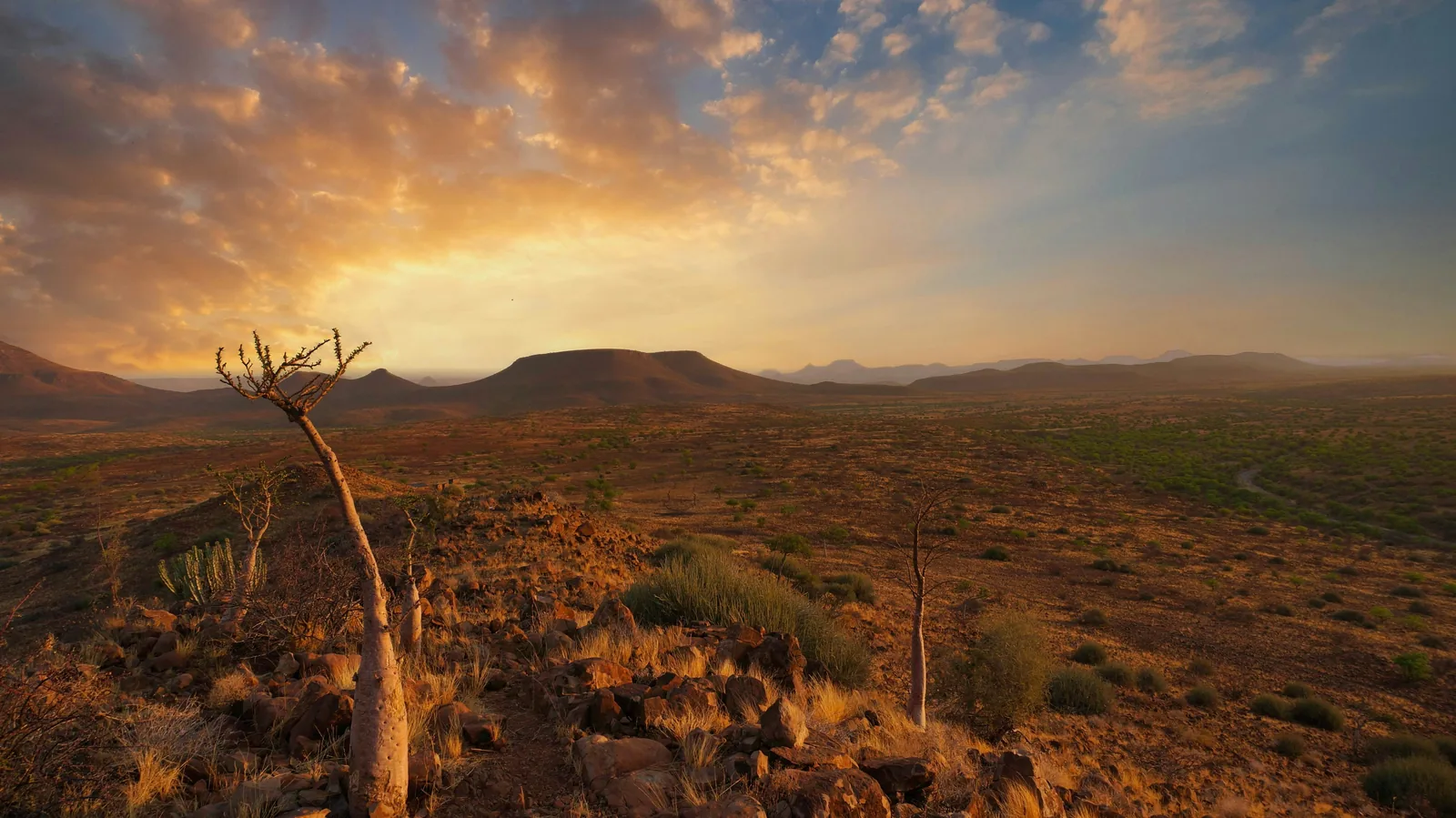Namibie self-drive – Toyota 4x4 na štěrkové cestě, Kalahari