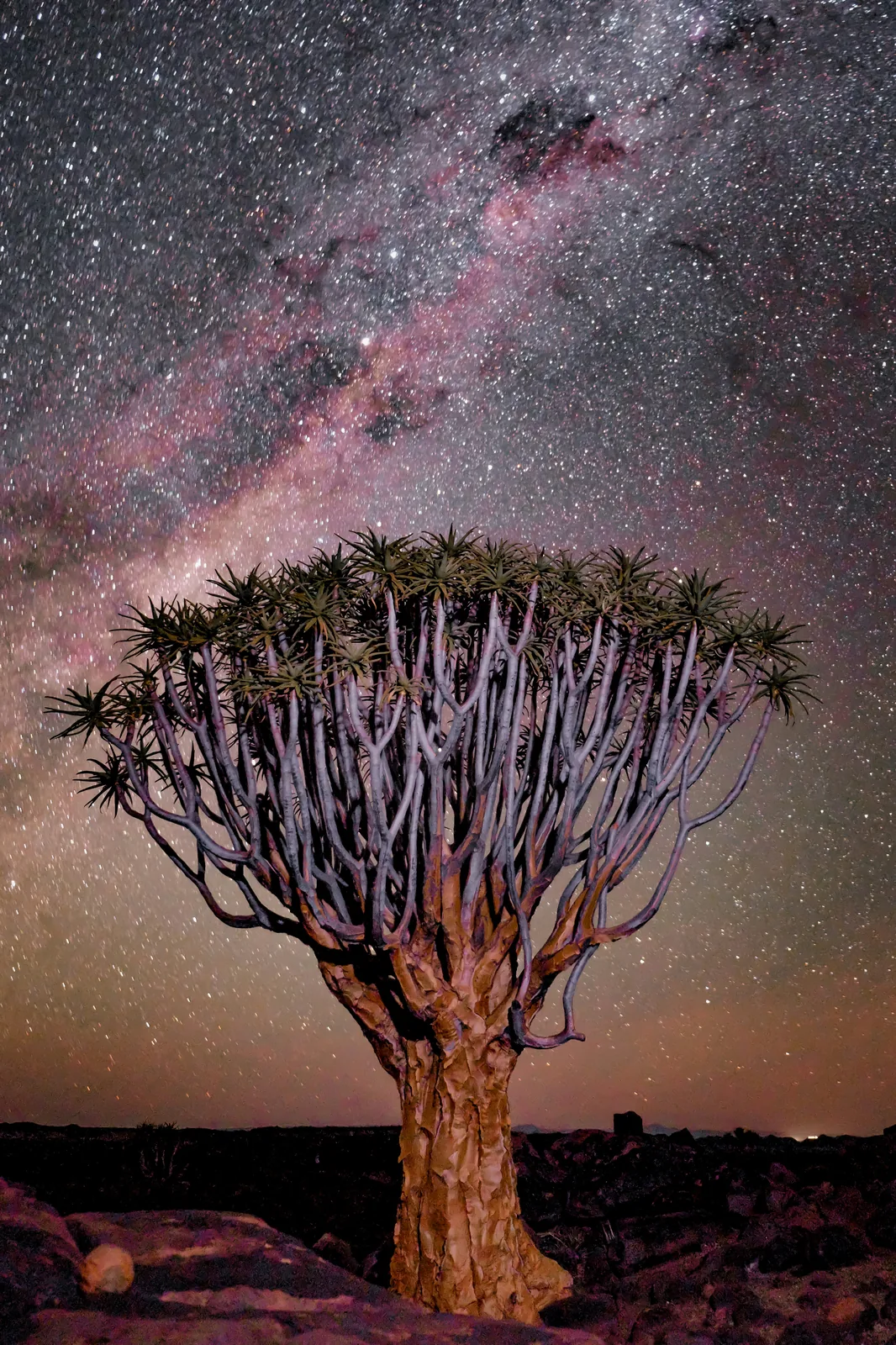 Namibie – pouštní kaleidoskop, duny a savana
