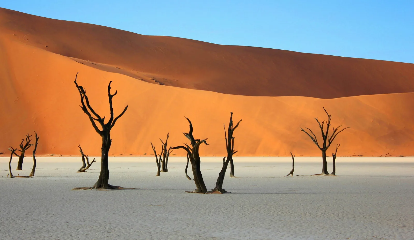 Namibie – kaňonová krajina a divočina