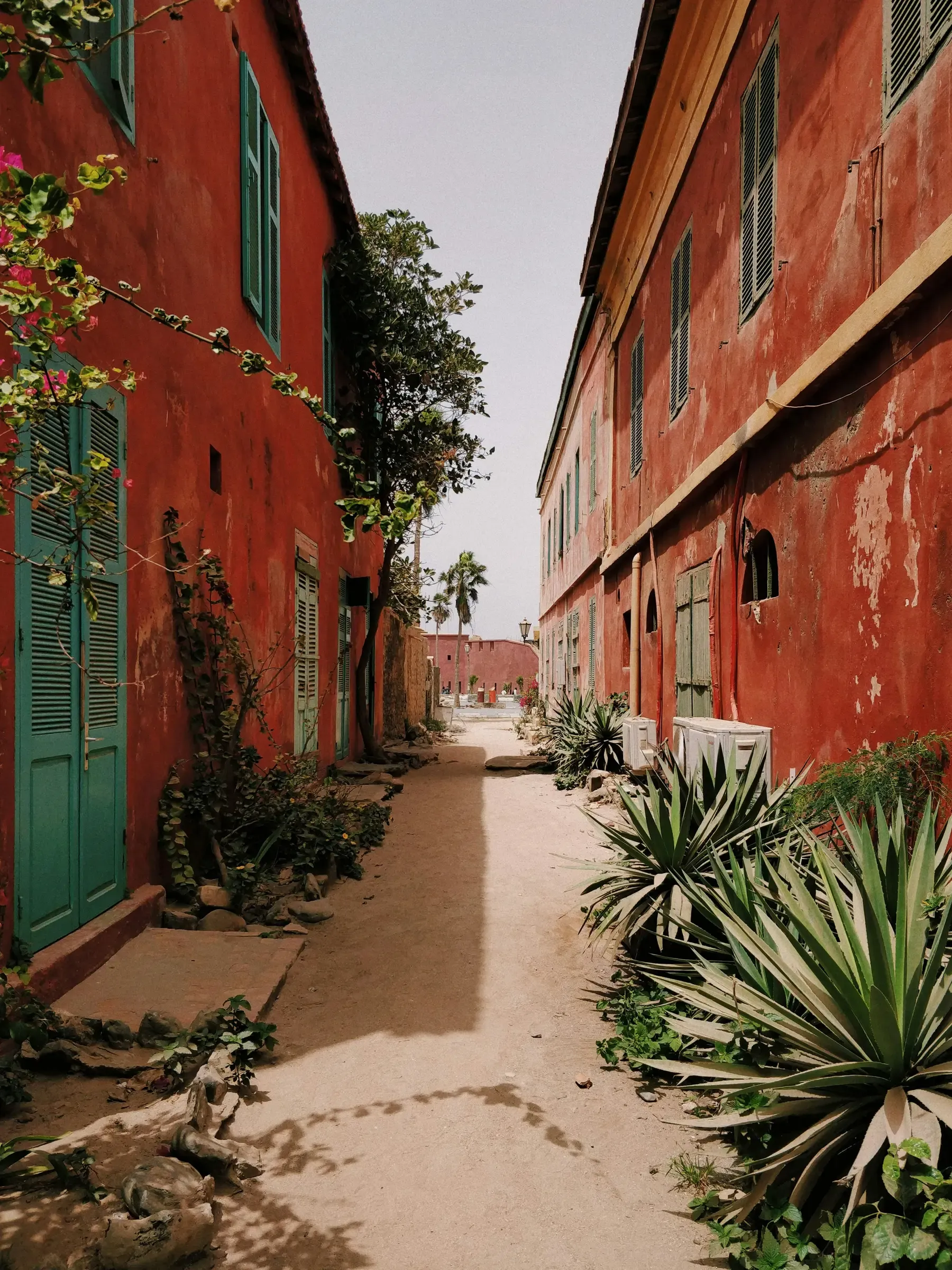 Senegal – kultura
