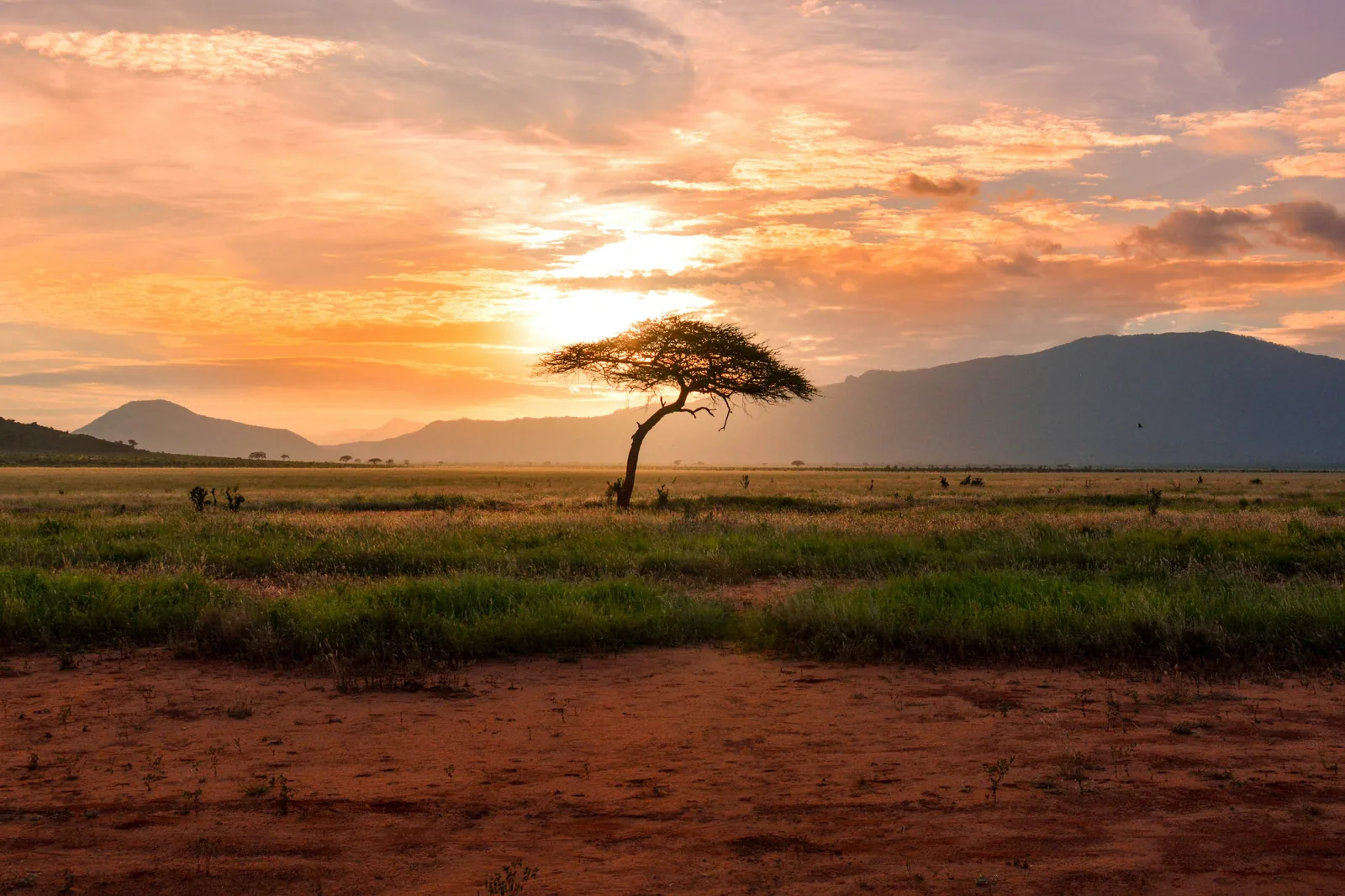 Afrika – příroda a lidé