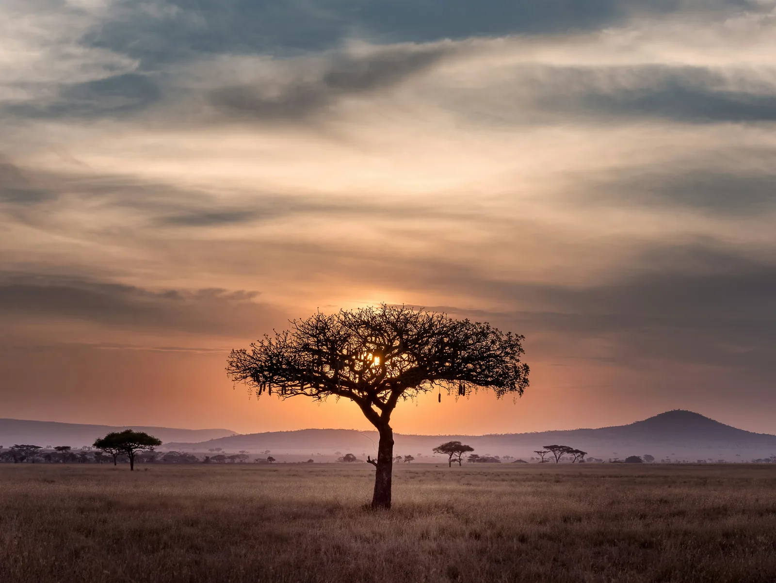 Afrika – naše místo