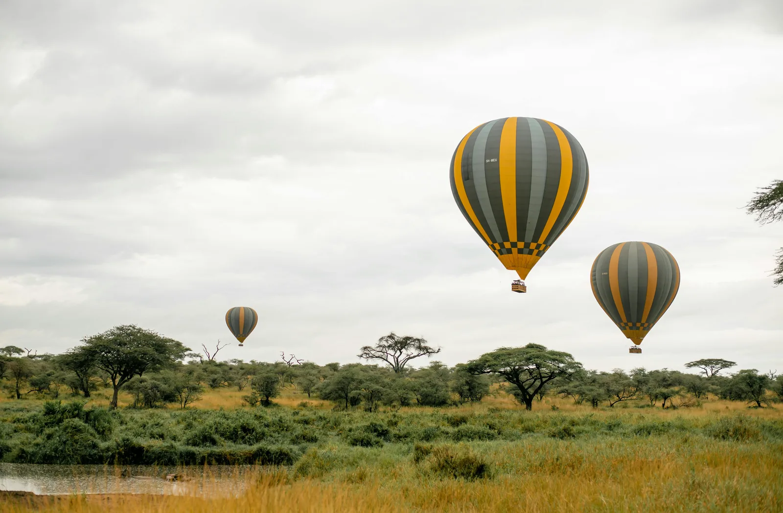 Tanzanie – kempové safari v Serengeti a Ngorongoro, skupinová cesta